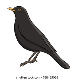 Blackbird Drawing Images Stock Photos Vectors Shutterstock