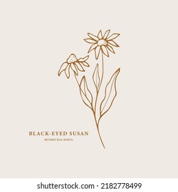 Hand drawn black-eyed Susan branch illustration