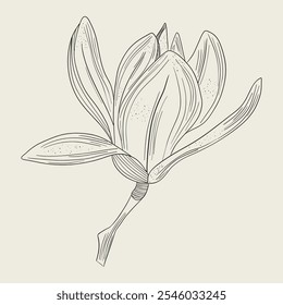 Hand drawn blooming flowers bouquet spring flower outline