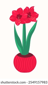 Hand drawn blooming red amaryllis in a fluted pot on a white background. Winter houseplant, cute holiday botanical illustration