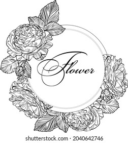 Hand drawn blooming rose flower