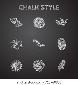 Hand Drawn Blossom Sketches Set. Collection Of Crocus, Syringa, Flower And Other Sketch Elements.