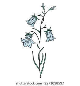 Hand drawn blue bell flower isolated on white background. Botanical decorative doodle sketch illustration for greeting card, wedding invitation, fabric. Colorful vector floral element.