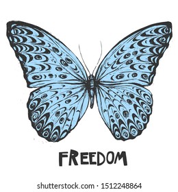 Hand drawn blue butterfly message banner with type Freedom
