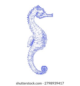 Hand Drawn Blue Chalk Texture Mediterranean Seahorse. Whimsical Crayon Pencil Sketch Sea Horse Marine Ocean Exotic Fish Clipart Element. Retro Coastal Nautical Scrapbook Graphic. Vector Illustration.
