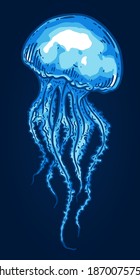 Hand drawn blue jellyfish isolated vector illustration. Medusa with long tentacles line art. Sea nature, underwater life animal.