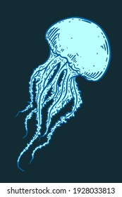 Hand drawn blue jellyfish isolated vector illustration. Medusa with long tentacles line art. Sea nature, underwater life animal.