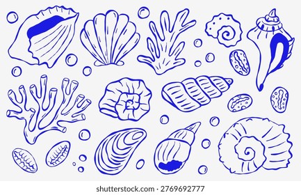 Hand drawn blue outline of ocean shells and coral