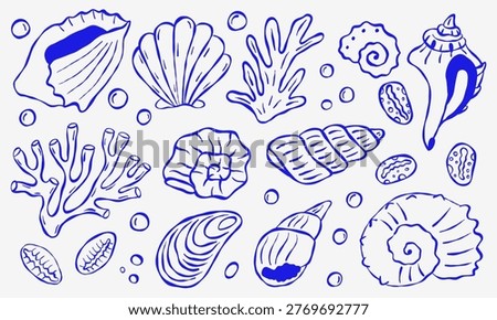 Hand drawn blue outline of ocean shells and coral