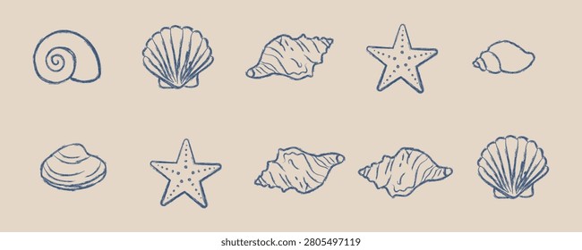 Hand drawn blue seashell and starfish doodles set sketchy sea shells, clams, scallops, and star fish icons on beige background