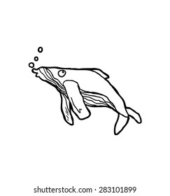 hand drawn blue whale