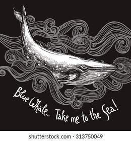 Hand Drawn Blue Whale On Chalkboard