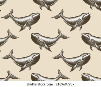 Hand drawn blue whale Seamless pattern. Big sea fish in vintage engraving style.