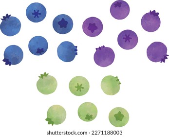 Hand drawn blueberries  isolated on white background. Watercolor. Hand drawn illustration.
