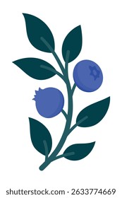 Hand Drawn Blueberry Branch with Ripe Berries and Leaves. Cute Botanical Illustration for Packaging, Kitchen Decor, Stickers, Labels, Logos, Food Branding or Farmers Market