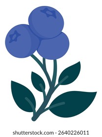 Hand Drawn Blueberry Branch with Ripe Berries and Leaves. Cute Botanical Illustration for Kitchen Decor, Packaging, Stickers, Labels, Logos, Farmers Market or Food Branding