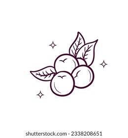 Mano Dibuja Blueberry. Ilustración del esbozo del vector Doodle