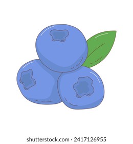 Hand drawn blueberry fruit vector illustration. Creative hand drawn fruit vector element