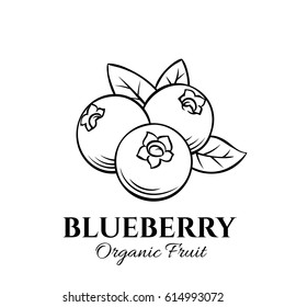 Hand drawn blueberry icon. Vector badge fruit in the old ink style for brochures, banner, restaurant menu and market