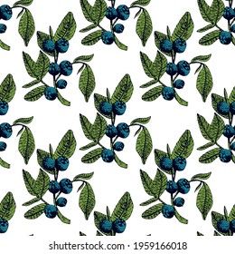 Hand drawn blueberry seamless pattern. Isolated berry branch sketch on white background. Summer fruit engraved style illustration. Detailed hand drawn vegetarian food. Great for label, poster, print