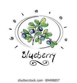 hand drawn blueberry in vignette