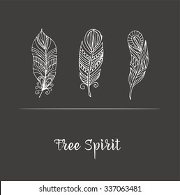 Hand drawn bohemian, tribal, ethnic feathers on chalkboard