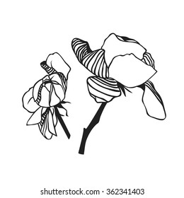Hand drawn boho illustration. Hand drawn set of Roses. Hand drawn illustration Wicca attributes. Creative black contour art-work. Ink Illustration Roses