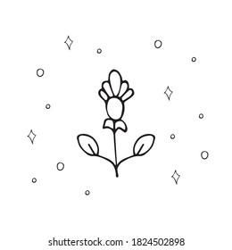 hand drawn boho magic flower style isolated black white.