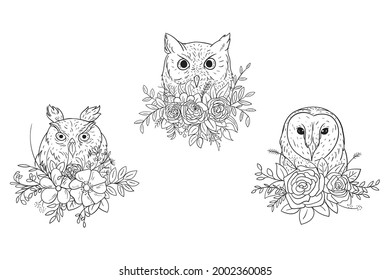 Juego de ilustraciones de búho de mano dibujado