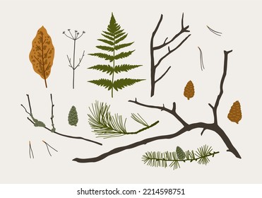 Hand drawn boho vector print with autumn leaves and tree branches, moss, bumps. Rustic forest elements in flat style. Wild forest poster