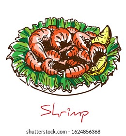 hand drawn boiled prawn or shrimp with lettuce and lemon slices isolated on white background. Colorful sketch drawing of seafood. king Shrimps served on white plate.Tasty cooked fried pile of prawns