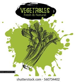 Hand drawn bok choy isolated on green blot. Vegetables sketch elements. Art hand-drawn vector illustration