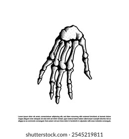 Hand drawn bone vector, Skeleton hand illustration isolated on  white background