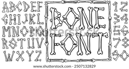 Hand drawn Bones Alphabet and Numbers Vector Illustrations with frame bone decoration