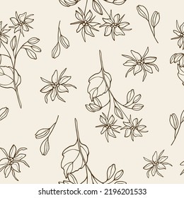 Hand drawn borage flower seamless pattern