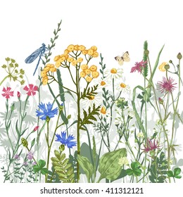 Hand drawn border with colorful herbs and flowers