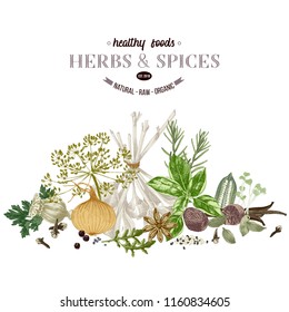 Hand drawn border with herbs and spices- parsley, dill, onion, garlic, rosemary, basil, poppy, sesame, cloves, black pepper, vanilla, arugula, nutmeg and cardamom. Vector illustration in retro style