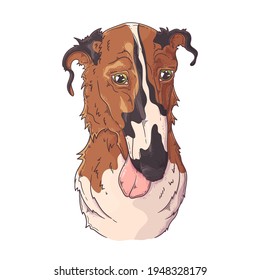 Hand drawn Borzoi dog portrait Vector. Isolated objects for your design. Each object can be changed and moved.