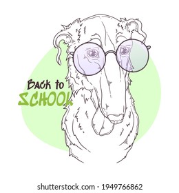 Hand drawn Borzoi dog portrait with accessories Vector. Isolated objects for your design. Each object can be changed and moved.