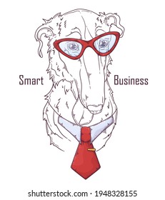 Hand drawn Borzoi dog with tie Vector. Isolated objects for your design. Each object can be changed and moved.