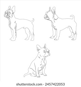 Dibujado a mano Boston Terrier ilustración de contorno