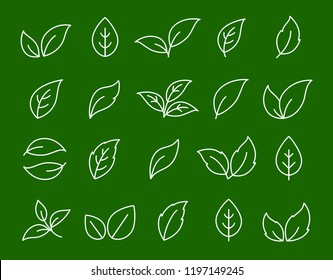 hand drawn botanic set of linear white leaf icons on green background