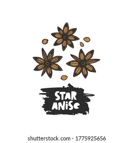 Handgezeichnete Pflanzenskizze mit botanischem Ananas. Grunge stylisierte farbige Kräutergrafik. Einziger Badyan-Gravur mit Zeichensamen. Farbiges Blatt und florales Kräuterblatt.