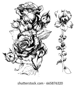 Hand drawn botanical art isolated on white background. Floral illustration. Flowers drawing vector illustration and line art.