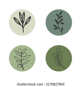 Hand drawn botanical boho style floral