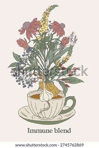 Hand drawn botanical bouquet featuring immune herbal blend in a tea cup.  Includes mullein; garlic; echinacea; rosehip; ginger; turmeric; elderberry in a muted natural color palette. Vintage apothecary style suitable for wellness and tea branding.