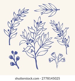 Hand Drawn Botanical Branch Leaf Berry Bud and Flower Sketch Collection Set