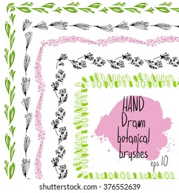 Hand drawn botanical brushes 