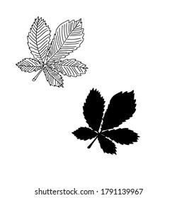 Hand drawn botanical chestnut leaf. Leaf silhouette. Line art, doodle, minimalism, modern style, vector floral graphic illustration. 