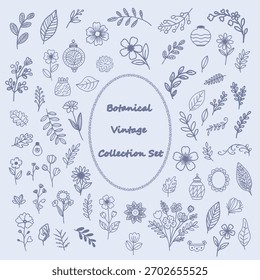 Hand drawn botanical collection set